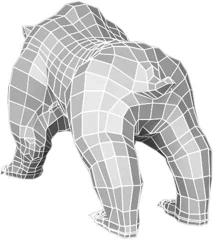 Bear Low High Poly Base Mesh Illustration Png Fishnet Texture Png