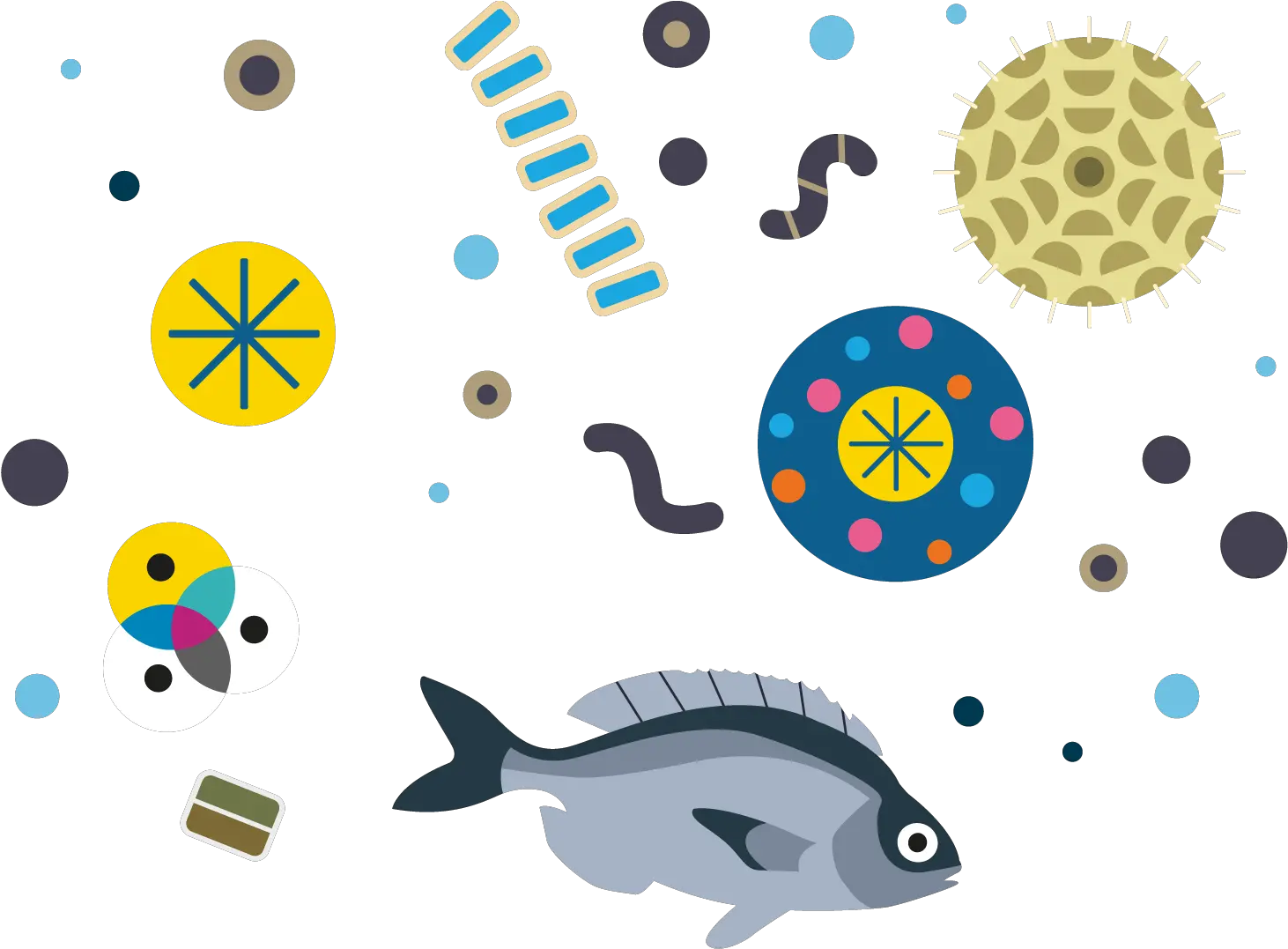 Hd Fish And Plankton Illustration Plankton Illustration Png Plankton Png