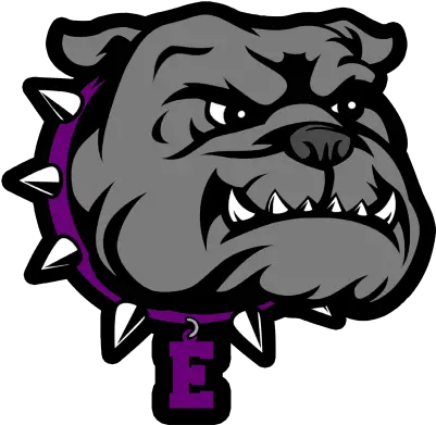 Bulldog Png And Vectors For Free Download Dlpngcom Everman High School Mascot Bull Dog Png