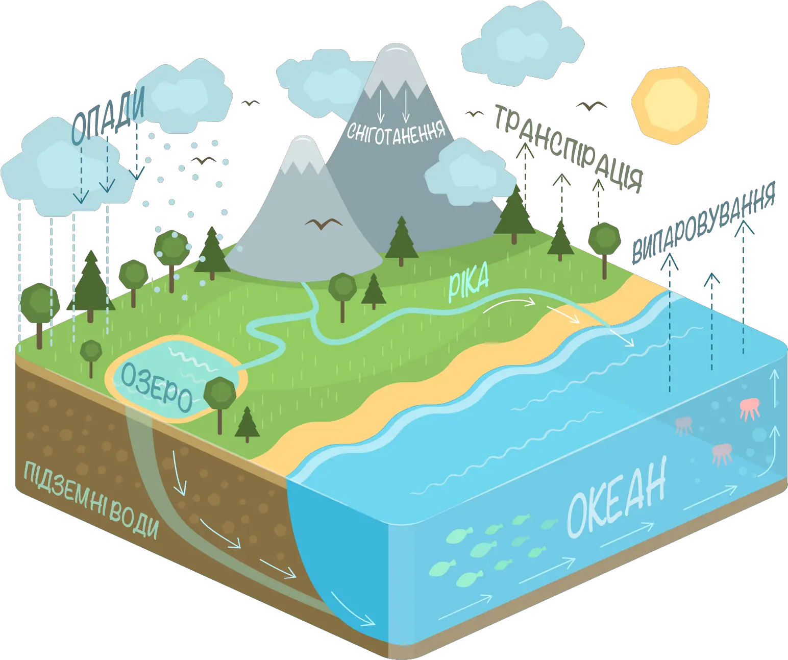 Collection Water Cycle Png U0026 Free Cyclepng Water Cycle Diagram Png Cycle Png