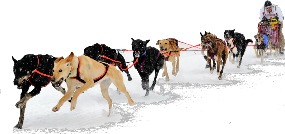 Png Sled Transparent Dog Sled Png Sleigh Png