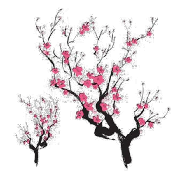 Japanese Maple Png Cherry Blossom Japanese Design Png Japanese Maple Png
