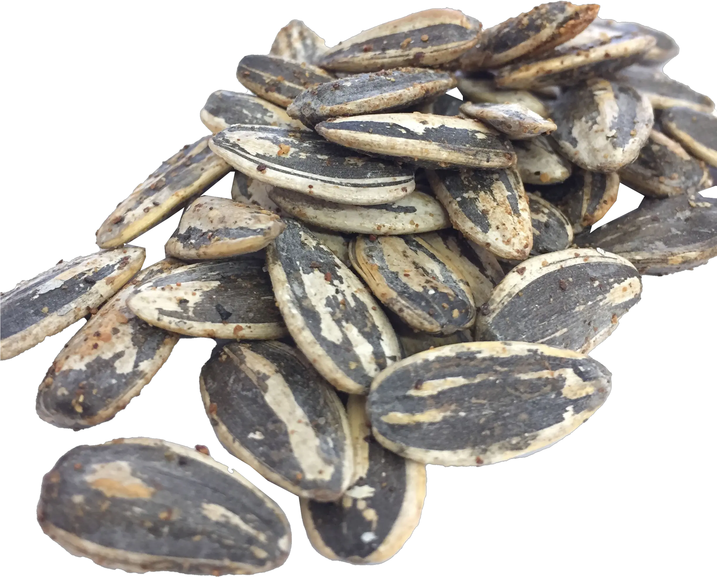 Black Sunflower Seeds Transparent Free Sunflower Seed Png Seed Png