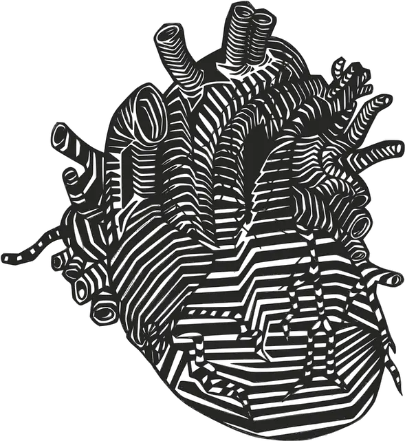 Heart Veins Arteries Human Heart Drawn Png Veins Png