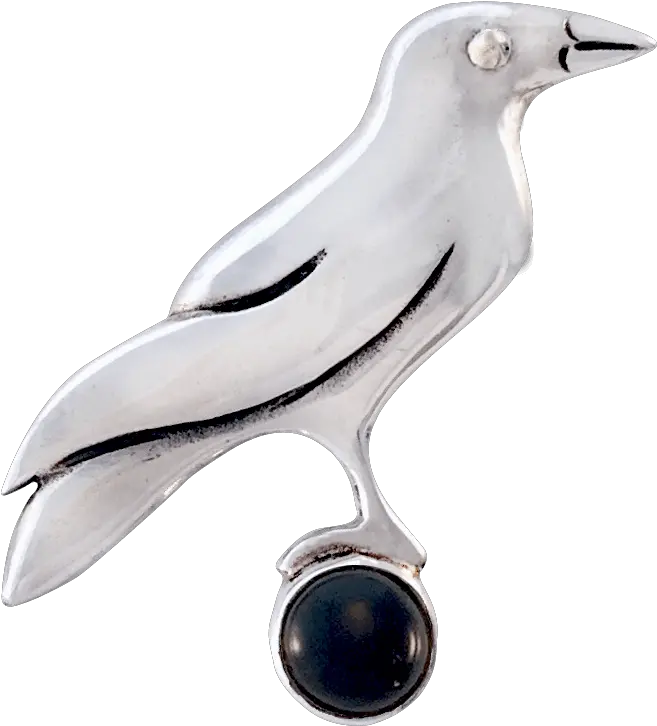 Raven Pin Sue B Designs Pigeons And Doves Png Raven Transparent