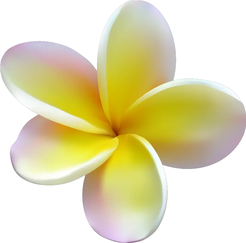 Full Size Png Image Girly Plumeria Png