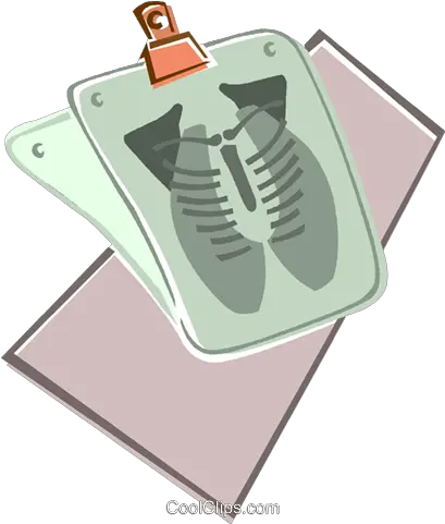 X Ray Of The Chest Royalty Free Vector Clip Art Illustration Document Png X Ray Png