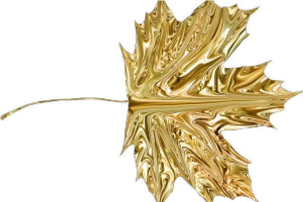 Gold Leaves Png Transparent Images Transparent Maple Leaf Gold Gold Leaves Png