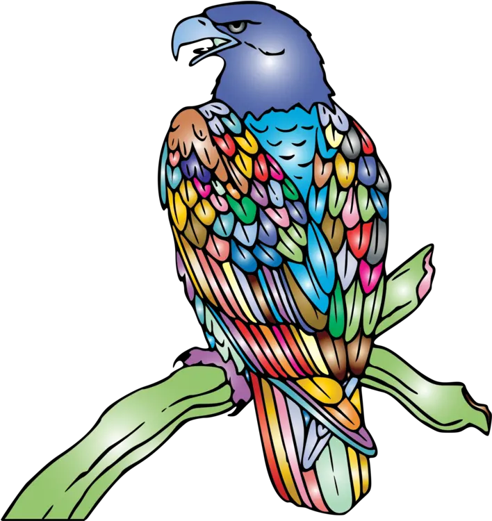 Falconiformesmacawparrot Png Clipart Royalty Free Svg Png Eagle Clip Art Parrot Png