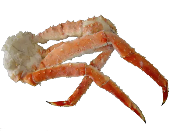 Alaskan King Crab Leg King Crab Leg Png Crab Legs Png