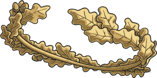 Oak Leaf Crown Romulus And Remus Wreath Crown Of Oak Leaves Png Oak Leaf Png