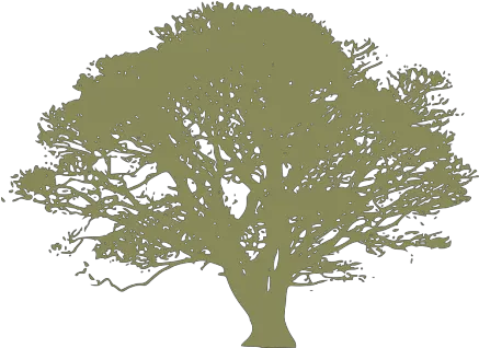 Dark Blue Oak Tree Png Svg Clip Art Rhyming Poem About Tree Oak Tree Png