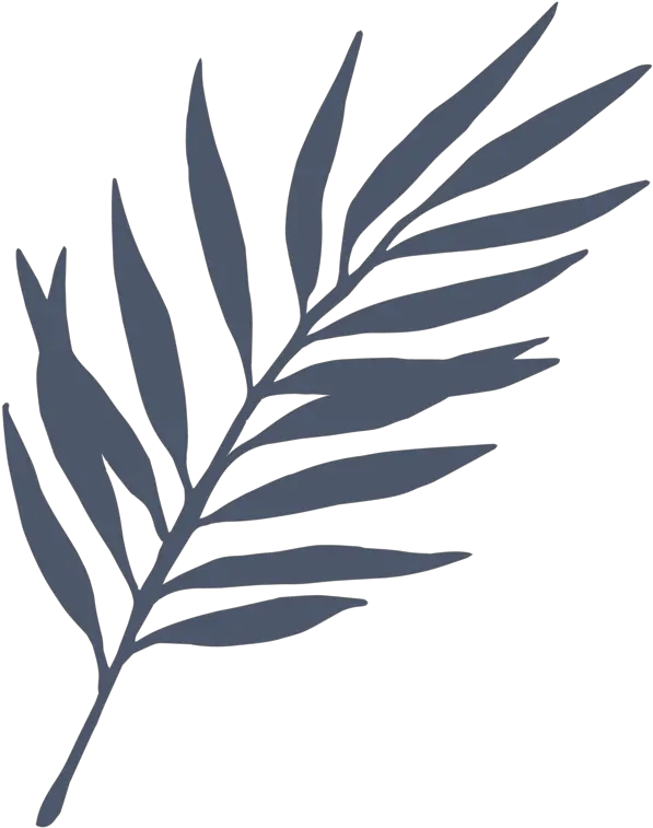 Men U2014 Shop Treehouse Daydreams Png Fern Icon