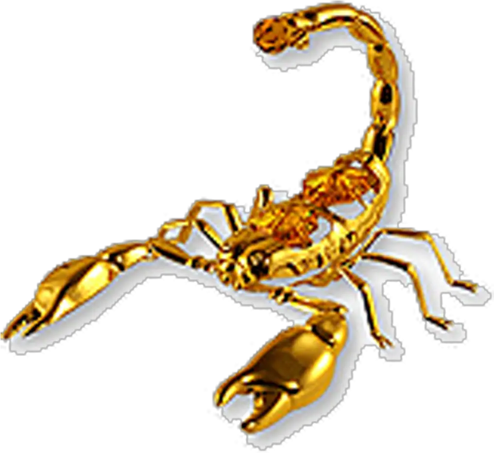 Scorpion Amulet Talisman Zodiac Scorpio Transparent Png Scorpion Png