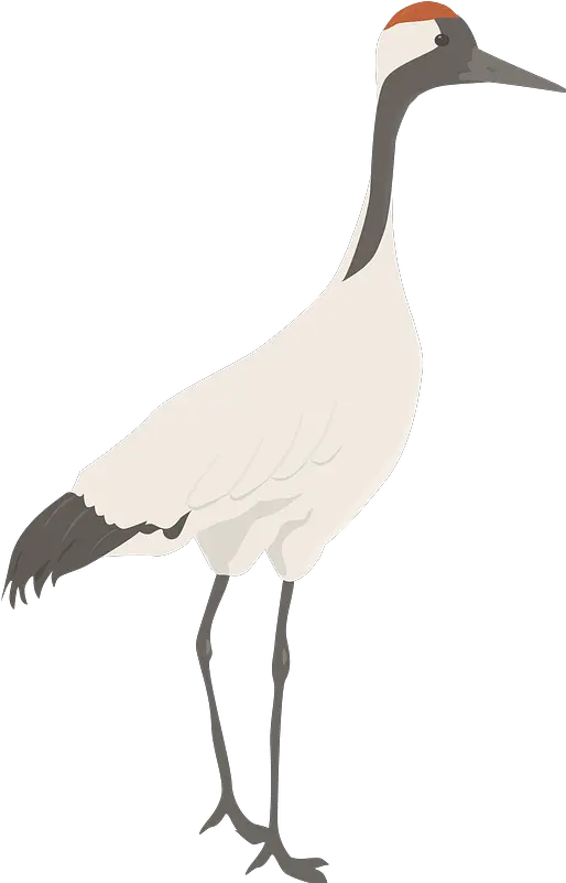 Crane Clipart Whooping Crane Png Crane Bird Png