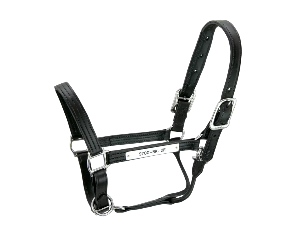 Equestrian Equipment Horse Black Halters For Horses Png Tack Png