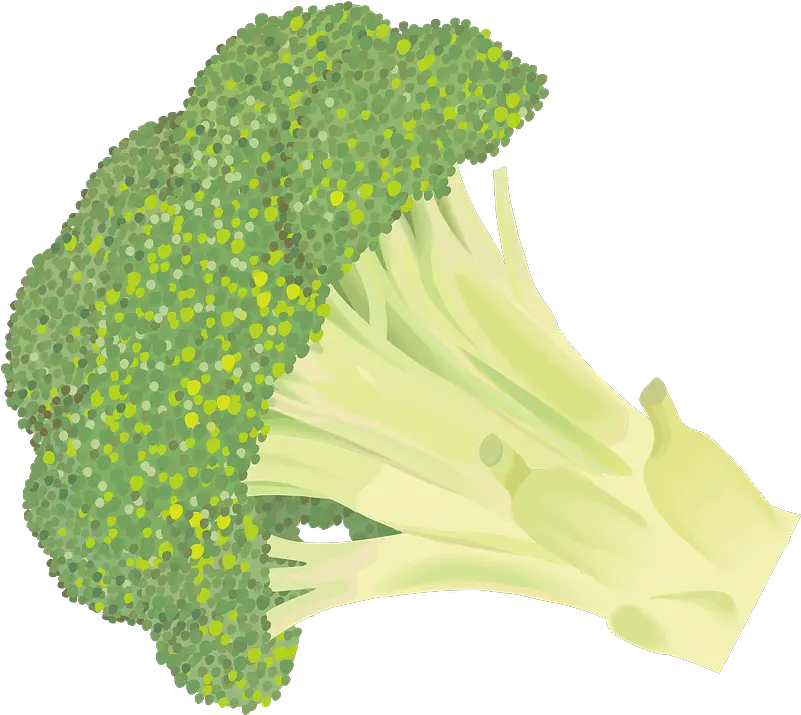 Broccoli Vegetable Clipart Free Download Creazilla Broccoli Png Broccoli Transparent