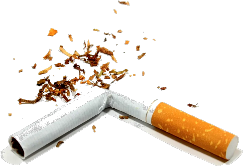 Cigarette Icon Clipart Broken Cigarette Png Tobacco Png