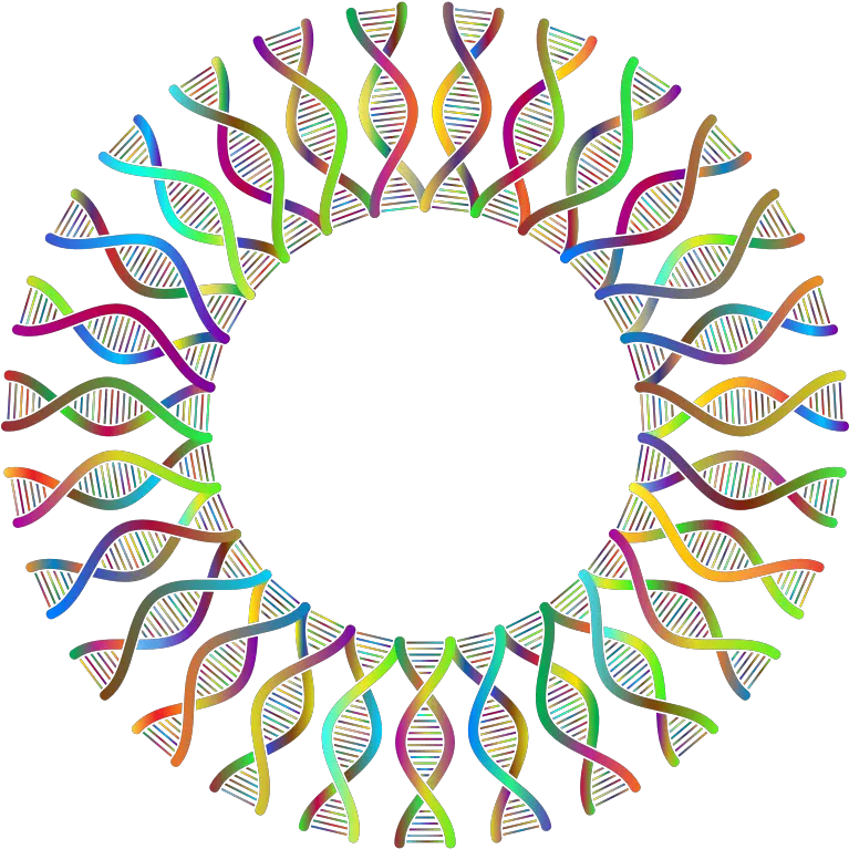 Download Free Png Dna Helix Frame Ii Polyprismatic Dlpngcom Dna Frame Png Dna Helix Png