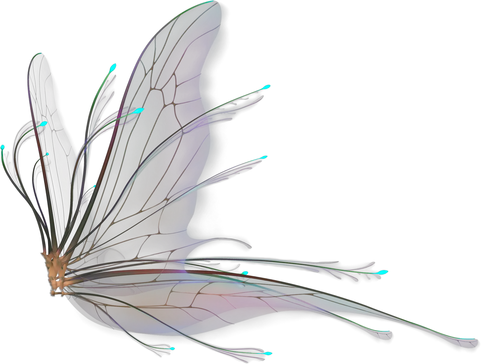 Fairy Wings Png Hd Fairy Wings For Photoshop Wing Png