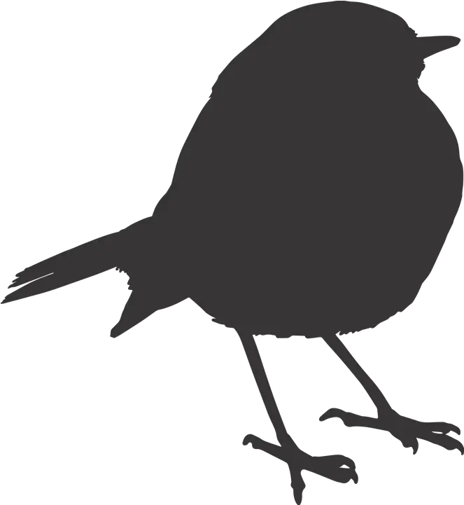 Sparrow Silhouette Png 4 Image Raven