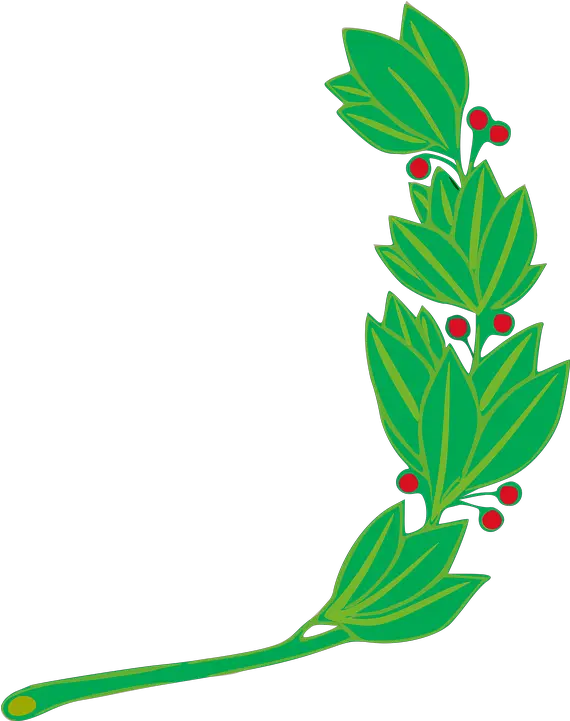 Branch Laurel Leaf Free Vector Graphic On Pixabay Simbolo Da Bandeira Do Peru Png Laurel Png