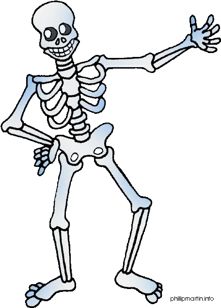 Library Of Clip Art Freeuse Stock Halloween Skeleton Png Free Clipart Skeleton Skeleton Png Transparent