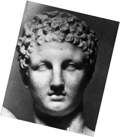 Golden Ratio Face Greek Statue Golden Ratio Face Statue Png Greek Statue Png