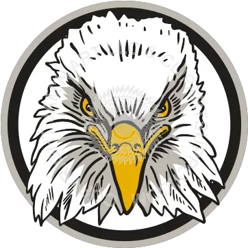 Picture Eagle Head Front View Png Eagle Head Logo