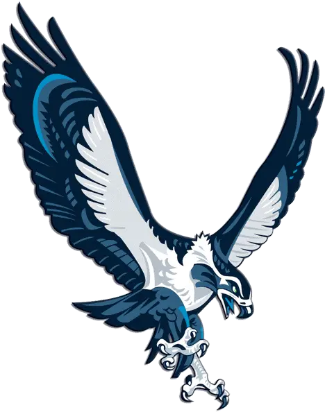 I Can Use Seahawk Logo Seattle Seahawks Alternate Logo Png Seahawk Logo Png