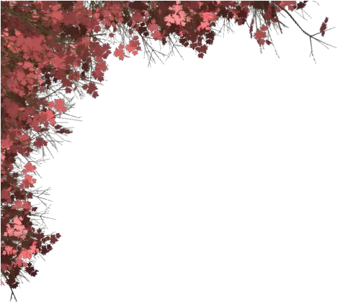 Wlka Maroon Border Design Png Corner Border Png