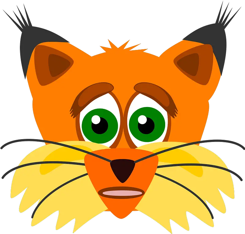 Lynx Face Clipart Lynx Clipart Png Lynx Png