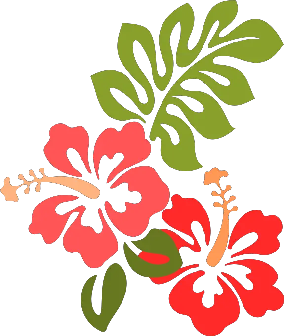 Hibiscus Png Svg Clip Art For Web Hibiscus Clip Art Hibiscus Png