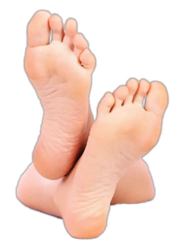 Legs Png And Vectors For Free Download Transparent Background Foot Png Legs Png