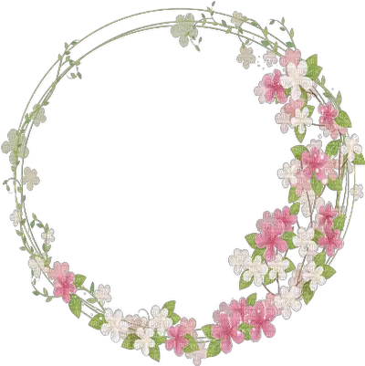 Cadre Cercle Pink Fleur Frame Flowers Floral Frame Transparent Background Png Flower Circle Png