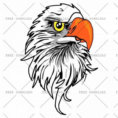 Eagle Hawk Kite Bird Png Image With Transparent Background Bike Sticker On Head Bald Head Png