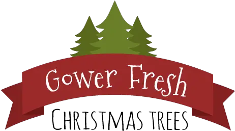 Gower Fresh Christmas Trees Premium Supplier Of Christmas Illustration Png Trees Top View Png