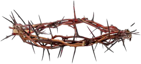 Thorns Png Transparent Image Coroa De Espinhos Png Thorn Crown Png