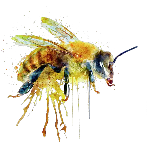 Bees Transparent Watercolor Transparent Watercolor Bee Bee Watercolor Png Transparent Bees