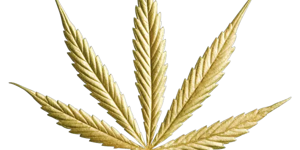 Gold Cannabis Leaf Png Image Gold Cannabis Leaf Png Weed Leaf Png