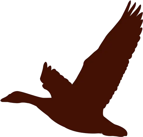 Flying Goose Silhouette Png Transparent Image 9 Free Silhouette Goose Flying Goose Transparent