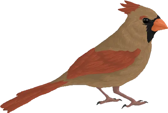 Female Cardinal Pixel By Kium Fur Affinity Dot Net Northern Cardinal Png Cardinal Png