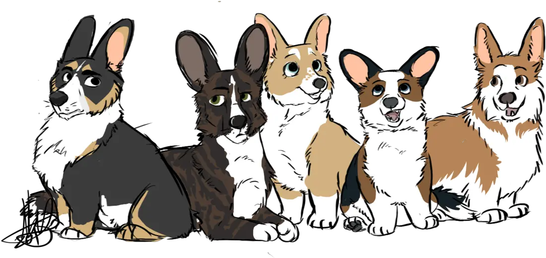 Pembroke Welsh Corgi Png Image Chibi Welsh Corgi Corgi Corgi Png