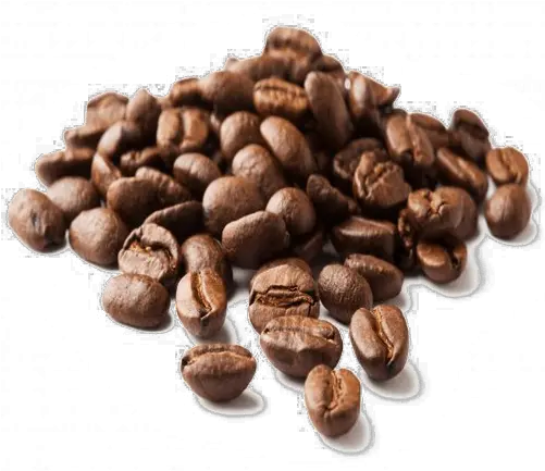 Coffee Beans Png Image Transparent Arts Coffee Beans Png Coffee Beans Transparent