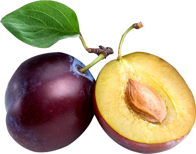 Large Plum Png Clipart Plum Png Plum Png