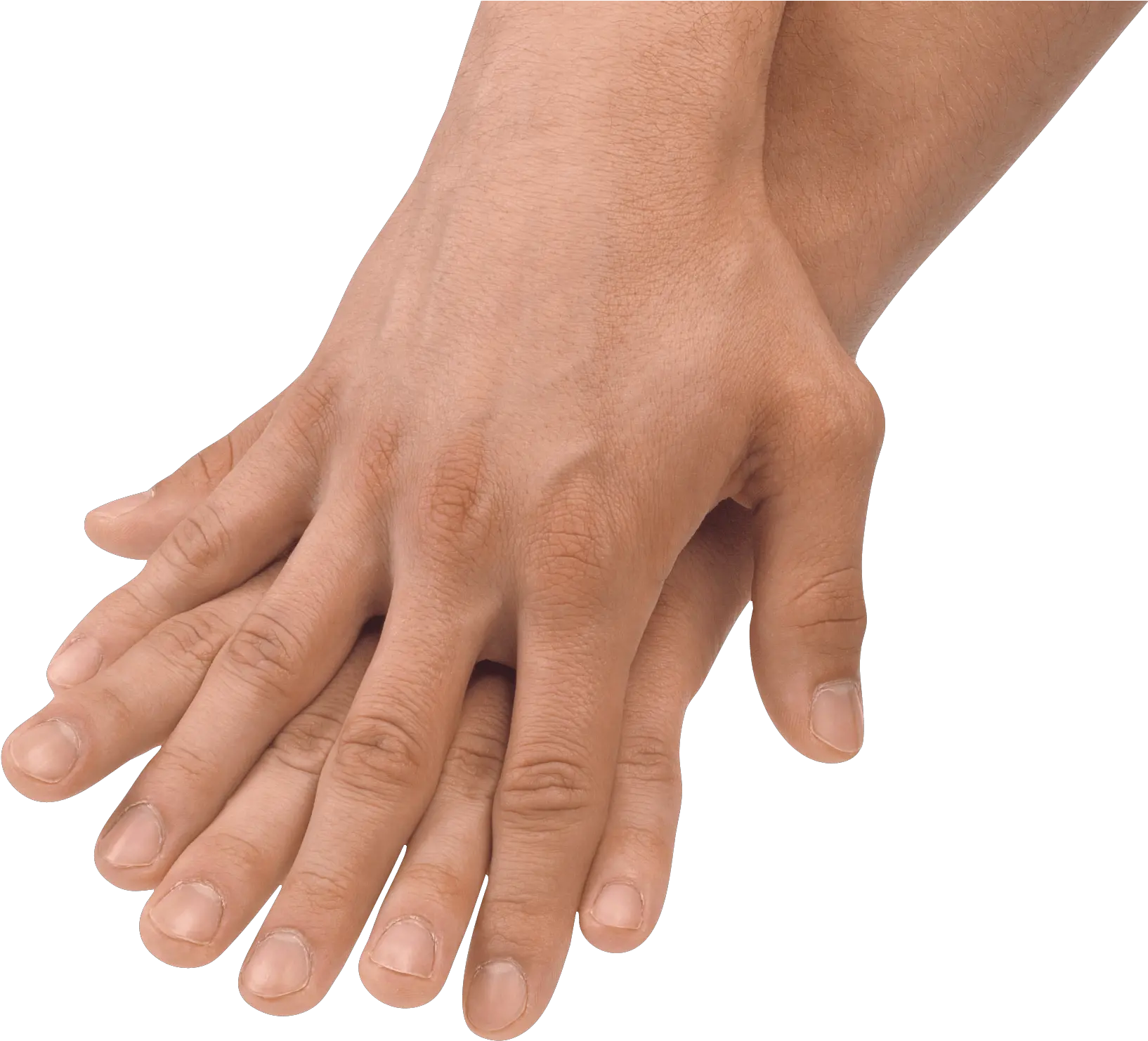 Two Hands Transparent Png Transparent Two Hands Png Hands Transparent