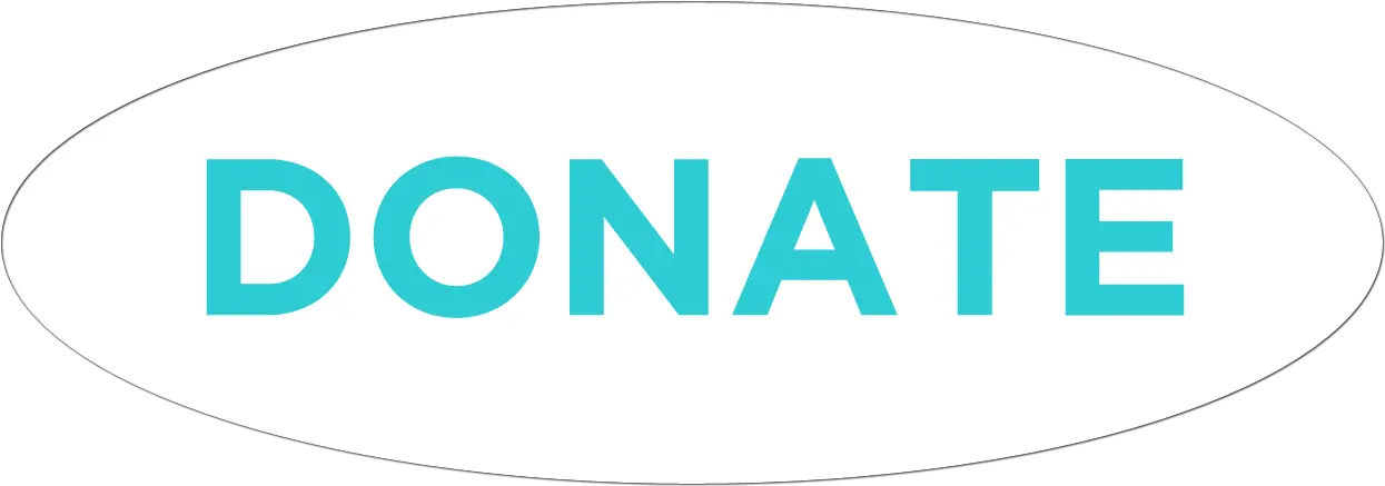 White Horizontal Png Donate Button Transparent