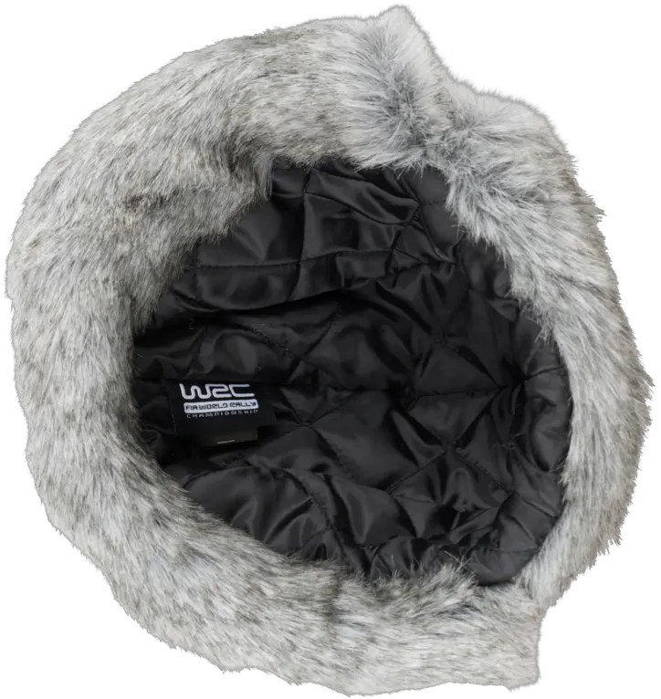 Wrc Grey Winter Hat Toque Png Ushanka Png