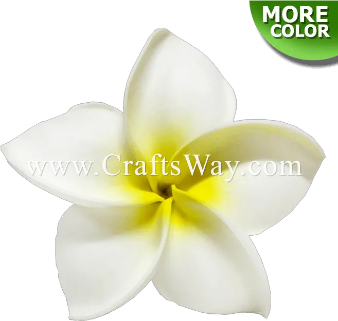 Craftsway Flower Png Plumeria Flower Png