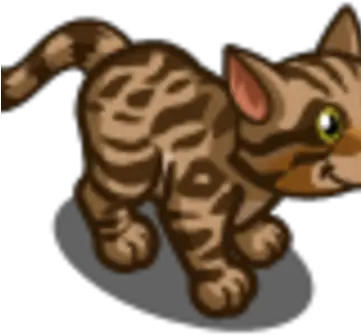 Brown Bengal Cat Farmville Wiki Fandom Kitten Png Cat Icon Png